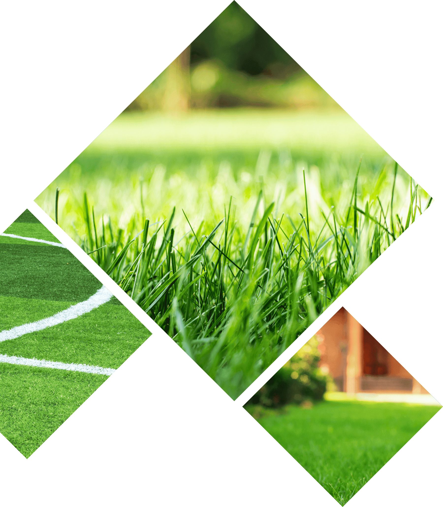 空間に、緑のチカラを