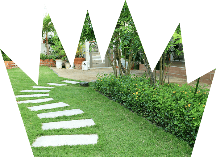 玄関アプローチ・エントランス