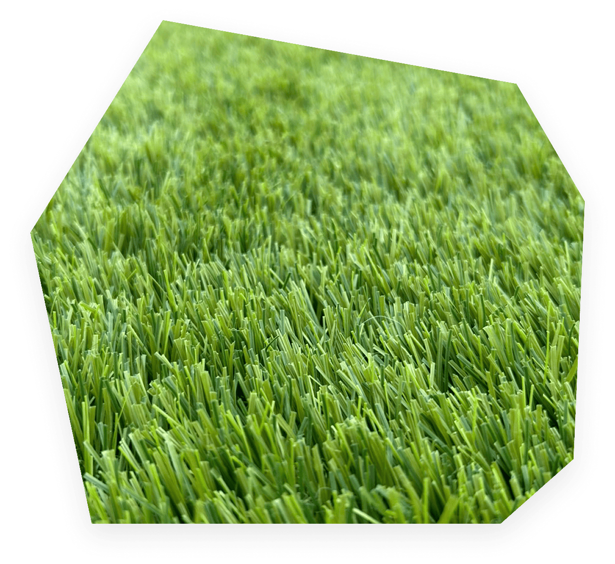 FIFA認定工場生産の
人工芝を採用